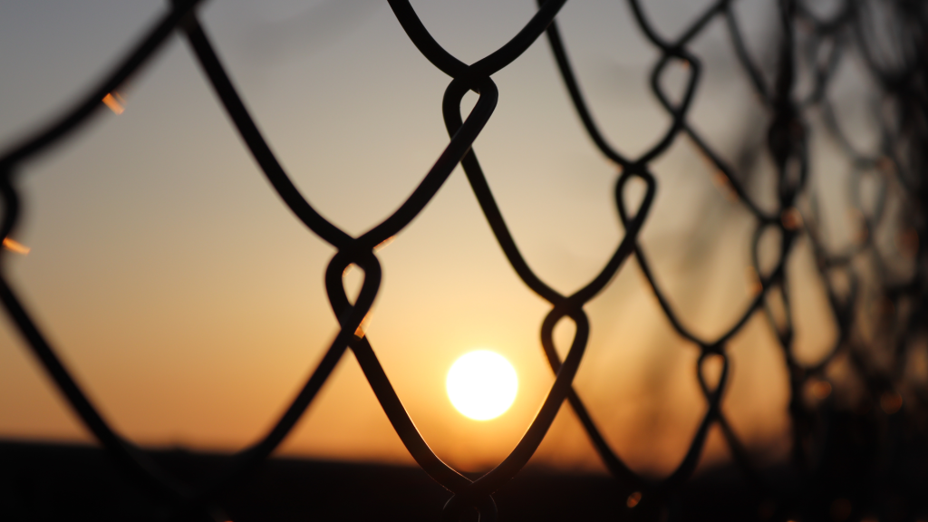 diseno sin titulo 13